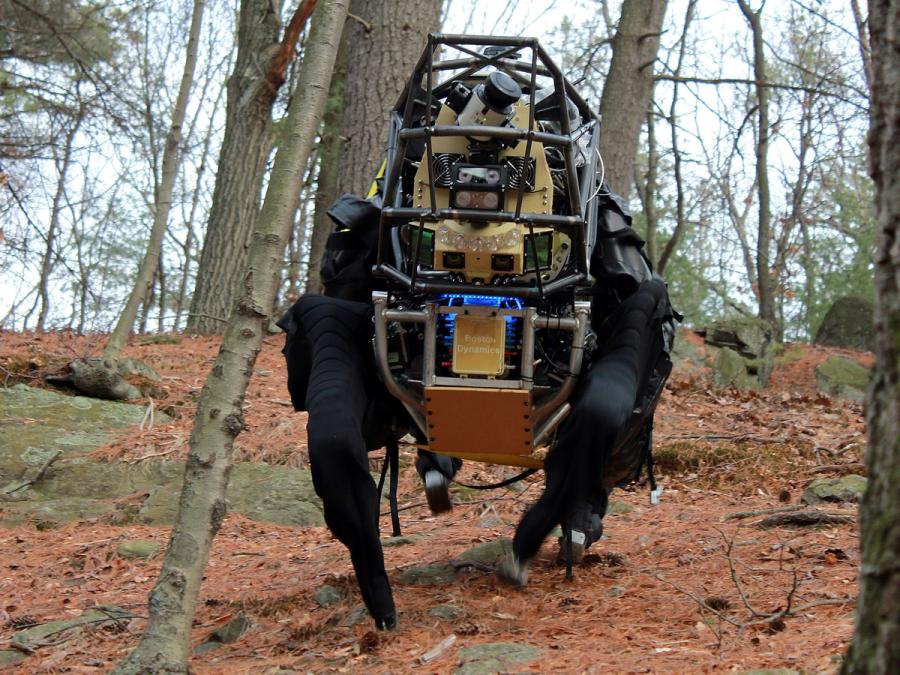 A very large black quadruped robot in the woods.