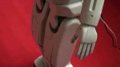 AR-600 featured on news report.