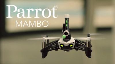 A minidrone full of surprises.