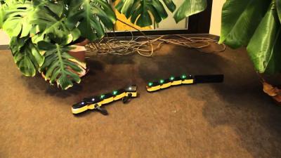 Salamandra gets cut in half.