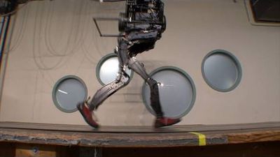 Petman's prototype legs.