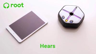 Overview of Root's features.