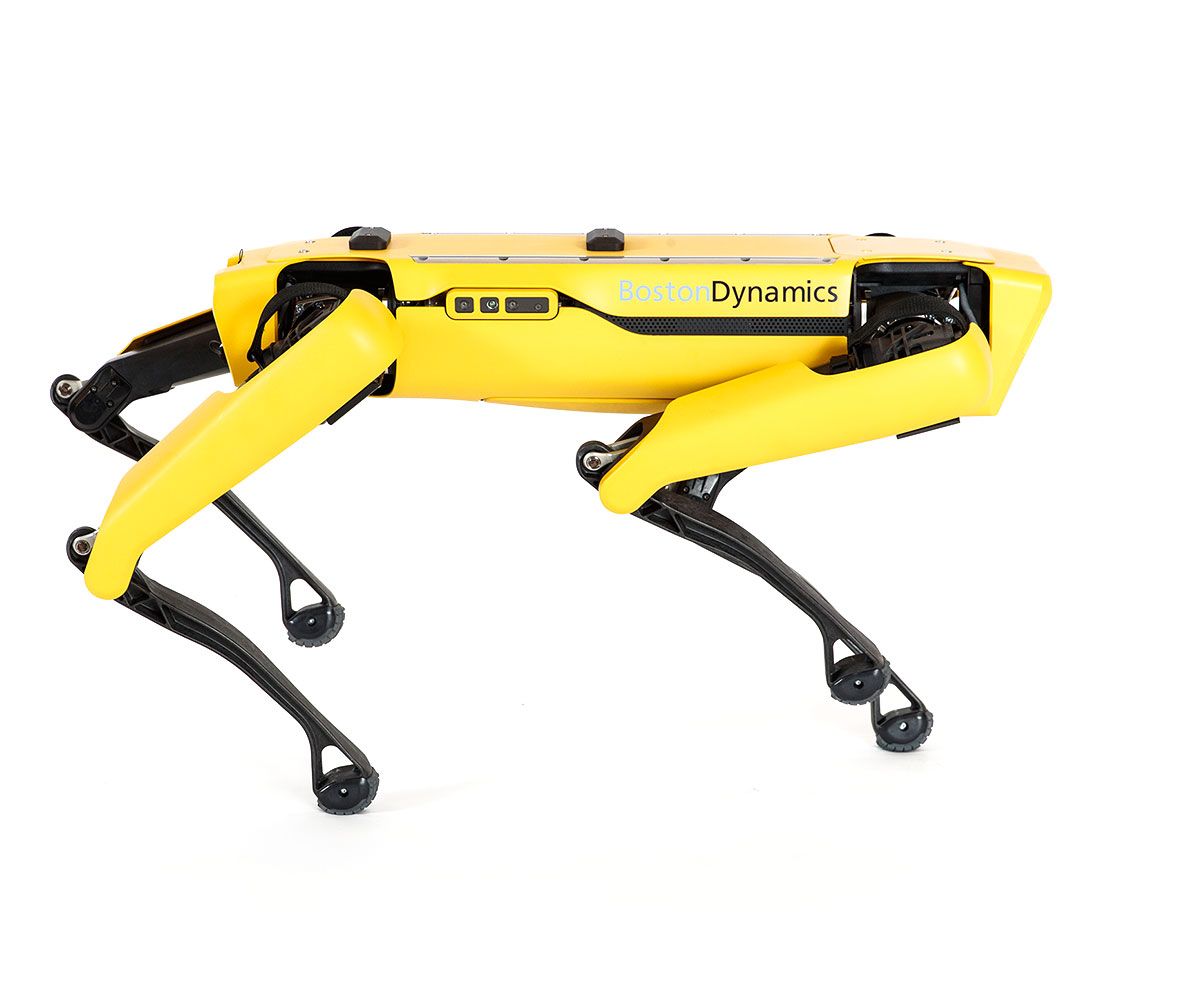 Spinning view of Boston Dynamics Spot, a black and yellow quadruped robot with a face that is a yellow square full of sensors.