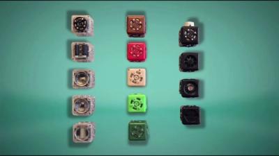Little robots with surprisingly complex behavior.