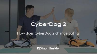 A man and a woman high five while standing in front of two robot dogs, one blue and another orange.