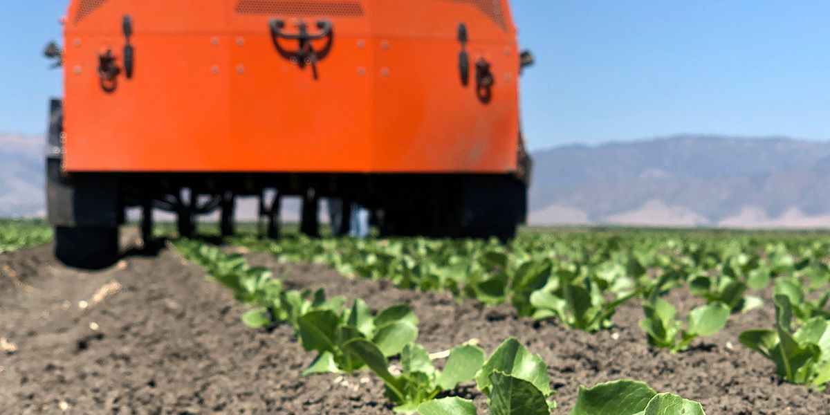 Your Next Salad Could Be Grown by a Robot