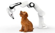Cobots Act Like Puppies to Better Communicate with Humans