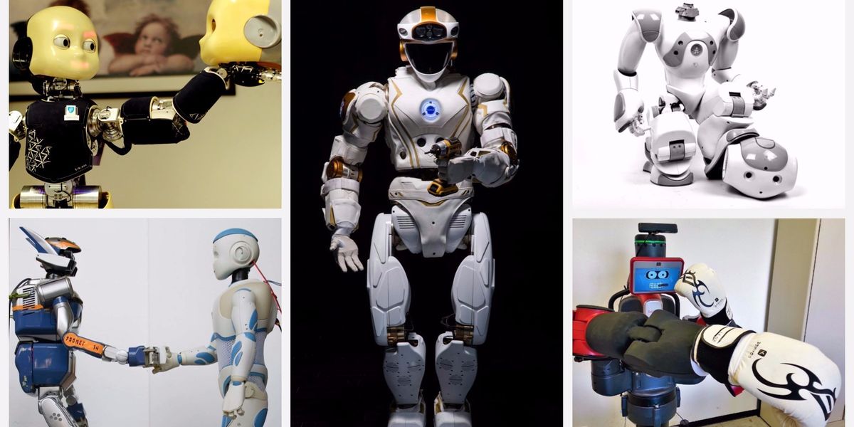 Hamlet iCub and Other Humanoid Robots in Photos