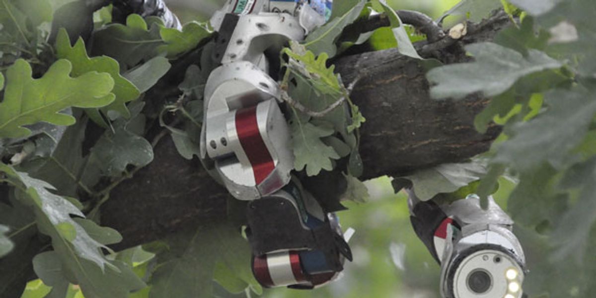CMU Snake Robots Can Now Strangle Things on Contact