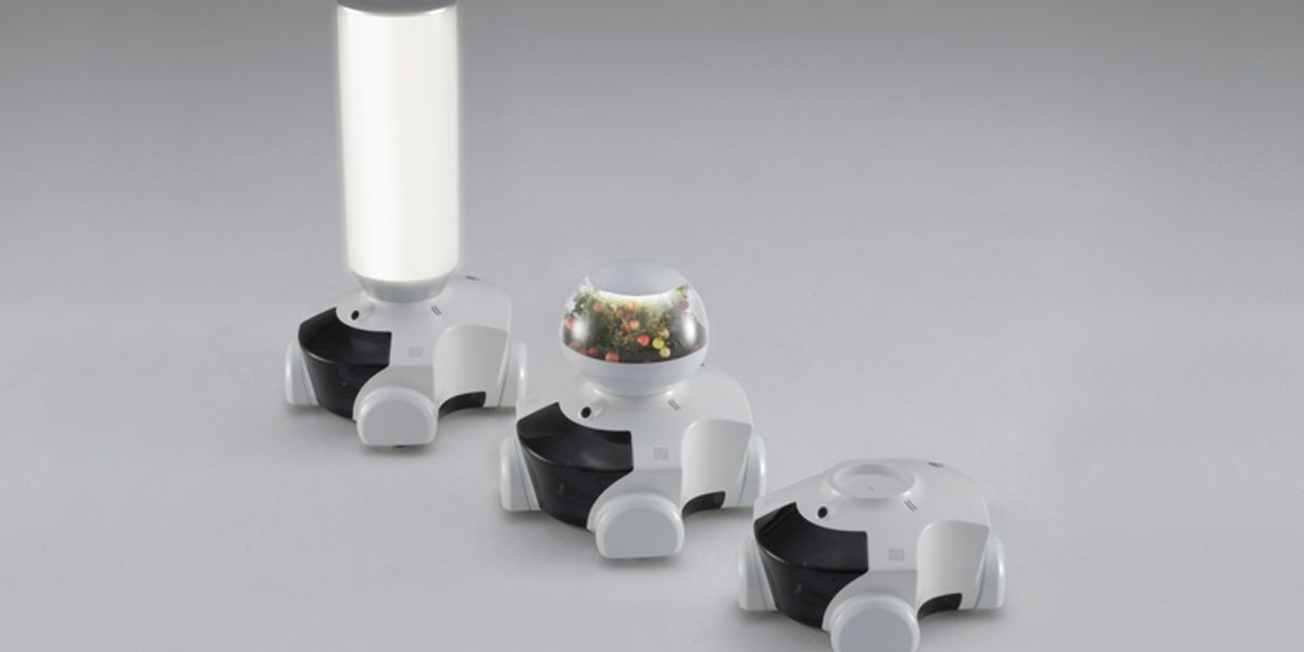 Is It a Lamp? Is It a Vase? No, It's Patin the Robot